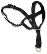 Smycze dla psów - Dingo Halfter Maulkorb - miniaturka - grafika 1