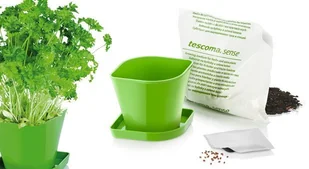 Tescoma Zestaw do uprawy ziół SENSE pietruszka 899064 - Akcesoria i części AGD - miniaturka - grafika 2