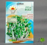 Nasiona na kiełki - Toraf Nasiona na kiełki BROKUŁ 10g - miniaturka - grafika 1
