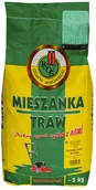 Trawy i trawniki - PNOS PNOS Mieszanka Traw Gazonowych Do Cienia 5 kg - miniaturka - grafika 1