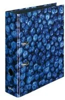 Segregator A4 World of Fruit Jagody - Szkolne artykuły papiernicze - miniaturka - grafika 2