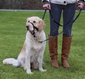 Szelki dla psów - Trixie (13005) UPRZĄŻ TOP TRAINER L/4 37CM - miniaturka - grafika 1