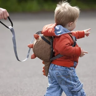 LittleLife Smycz bezpieczeństwa do plecaków - Zabezpieczenia dla dzieci - miniaturka - grafika 3