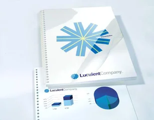 ACCO Okładki przezroczyste PVC A4 150 mic CE011580E - Okładki do laminatorów i bindownic - miniaturka - grafika 2