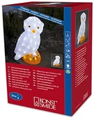 Pozostałe oświetlenie - Konstsmide 6186 203 zewnętrzny transformator akrylowa figurka ""Sowa""/na zewnątrz (IP44)/24 V/56 białych zimnych diod LED/przezroczysty przewód - miniaturka - grafika 1