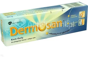 Dermosan Krem ochronny na mróz i wiatr SPF20 tłusty 40ml - Kremy do twarzy - miniaturka - grafika 2