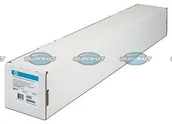 Papier do drukarek - HP Papier fotograficzny Realistic Poster Paper (914mm, 61m) CG419A - miniaturka - grafika 1