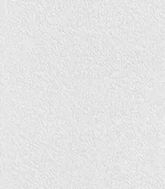 Tapety - Rasch Tapeta ścienna 882100 Unsere Besten 2014 - miniaturka - grafika 1