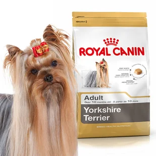 Royal Canin Mini Yorkshire Terrier Adult 10 kg - Sucha karma dla psów - miniaturka - grafika 2