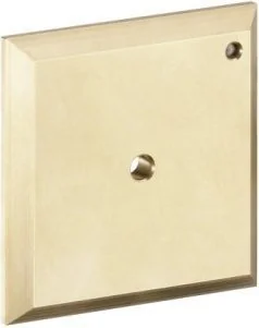 Hansgrohe Płytka do przepłukiwania iControl RAINDACE 15956000 - Akcesoria hydrauliczne - miniaturka - grafika 3