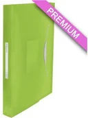 Teczki i skoroszyty - Esselte Teczka z przegródkami Vivida zielona ES578-4 - miniaturka - grafika 1