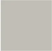 Tła fotograficzne - Colorama kartonowe 1,35x11m - Platinum CO581 - miniaturka - grafika 1