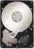 Dyski HDD - Seagate Barracuda SV35 ST31000526SV - miniaturka - grafika 1