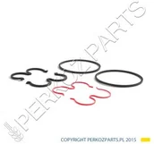 Części i akcesoria do maszyn rolniczych - NEW HOLLAND / CASE ZESTAW USZCZELEK POMPY HYDRAULICZNEJ 84607229 - miniaturka - grafika 1