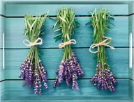 Tace i patery - Emsa Taca 50x37 cm Lavenda Classic 513714 - miniaturka - grafika 1