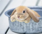 Podkładki pod mysz - SPEEDLINK Silk podkładka pod mysz (miękka powierzchnia, niski opór gleitwide, gumowany spód, różnych motywów) 4027301986846 - miniaturka - grafika 1