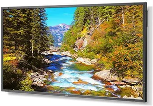 NEC MultiSync E705 - Monitory reklamowe i wyświetlacze - miniaturka - grafika 6