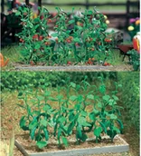 Kolejki i akcesoria - Busch Grządki z ogórkami i pomidorami w skali H0 BU - miniaturka - grafika 1