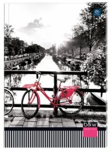 Inter-druk SA BRULION A5/96 KRATKA OPRAWA PÓŁTWARDA MIX zakupy dla domu i biura BRA596P - Szkolne artykuły papiernicze - miniaturka - grafika 5