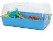 Klatki dla gryzoni - Savic Skrzynka/ Kufer Dla Chomika Rody Hamster Niebieski 1 Szt Niebieska - miniaturka - grafika 1