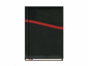 Michalczyk&Prokop Kalendarz 2019 Asesor T-249K-01 T-249K-01 - Kalendarze - miniaturka - grafika 3