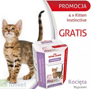 Royal Canin Kitten Sterilised 0,4 kg - Sucha karma dla kotów - miniaturka - grafika 2