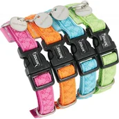 Obroże dla psów - Zolux Obroża regulowana Mac Leather 25mm kolor niebieski - miniaturka - grafika 1