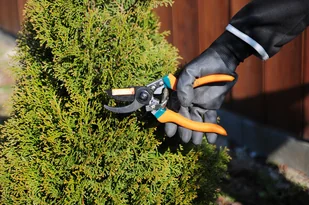 FLO Flo 205 mm teflon (99204) - Nożyce i sekatory - miniaturka - grafika 2