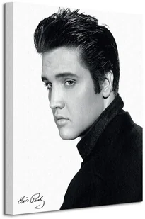 Pyramid Posters Elvis (Portrait) - Obraz na płótnie WDC94496 - Obrazy i zdjęcia Pyramid Posters Elvis (Portrait) - Obraz na płótnie WDC94496 - Obrazy i zdjęcia - miniaturka - grafika 1
