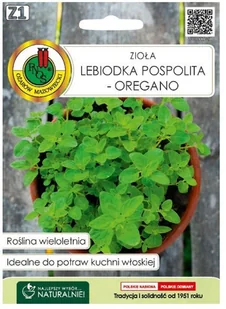 Nasiona lebiodka - Nasiona i cebule - miniaturka - grafika 2