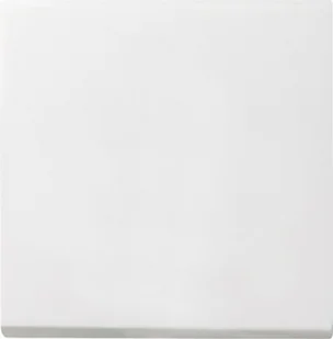 Gira 011 01135787 Klawisz System 55 do Wyłącznika kołyskowego i przycisku k - Wyłączniki światła i elektryczne Gira 011 01135787 Klawisz System 55 do Wyłącznika kołyskowego i przycisku k - Wyłączniki światła i elektryczne - miniaturka - grafika 1