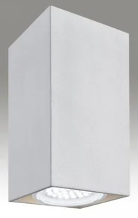 Argon Plafon Oprawa sufitowa TYBER3 LED 3092 1pł Srebrny - Lampy sufitowe - miniaturka - grafika 2