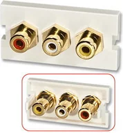 Złącza, przejściówki, adaptery - Lindy Moduł 3xRCA (component) do ramki naściennej 60533 - miniaturka - grafika 1