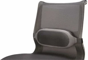 Fellowes Podpórka ergonomiczna lędźwiowa i-SpireT 9311602 - Podnóżki, podpórki, podkładki - miniaturka - grafika 2