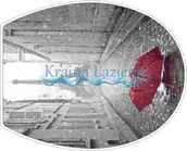 Deski sedesowe - Bisk deska wc wolnoopadająca foto paris 05797 - miniaturka - grafika 1