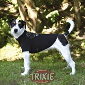 Ubranka dla psów - Trixie Bunburry- t-shirt dla psa Rozmiar (M) 35cm pomarańczowy 28385 HB - miniaturka - grafika 1