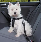 Szelki dla psów - Trixie Szelki samochodowe dla psa XS [1288] 11740 - miniaturka - grafika 1