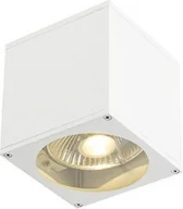 Lampy ogrodowe - Spotline BIG THEO WALL OUT 229561 kinkiet 1x75W GU10/ES111 - miniaturka - grafika 1