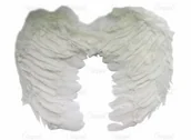 Pozostałe akcesoria świąteczne - Arpex SKRZYDEŁKA CHERUBINA - miniaturka - grafika 1