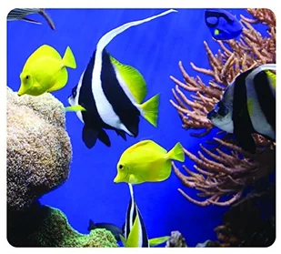 Fellowes Earth Series 043859578436 - Podkładki pod mysz Fellowes Earth Series 043859578436 - Podkładki pod mysz - miniaturka - grafika 1