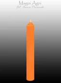 Świece - Magoi Agni Pomarańczowa świeca z wosku 9x1,2cm (5 sztuk) drim09 - miniaturka - grafika 1