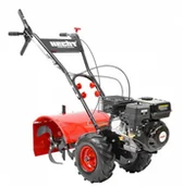 Glebogryzarki - Hecht Lilli534TG - miniaturka - grafika 1