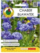 Nasiona i cebule - Nasiona chaber bławatek 1 g - miniaturka - grafika 1