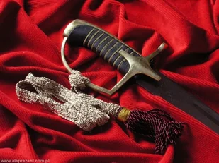 Płatnerze hiszpańscy Oficerska szabla Wojska Polskiego WZ 1976 gładka - Repliki - broń Płatnerze hiszpańscy Oficerska szabla Wojska Polskiego WZ 1976 gładka - Repliki - broń - miniaturka - grafika 1