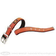 Obroże dla psów - Ferplast Dual Colours obroża dla psa pomarańczowa CF25/53 - miniaturka - grafika 1