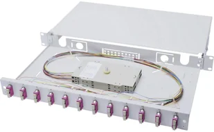 Digitus Professional Rozdzielacz światłowodu 12 Portów SC Professional DN-96321-4 1 U - Panele krosownicze Digitus Professional Rozdzielacz światłowodu 12 Portów SC Professional DN-96321-4 1 U - Panele krosownicze - miniaturka - grafika 1