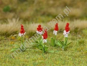 Kolejki i akcesoria - Faller Pierwiosnek / 32szt. 181267 - miniaturka - grafika 1