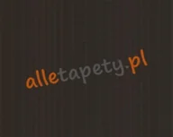 Tapety - A.S. Creation GEMINI 2246-37 TAPETY WINYLOWE TAPETA ŚCIENNA - miniaturka - grafika 1