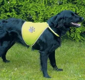 Odblaski i adresówki - Trixie KaMizelka odblaskowa dla psa rozmiar 2 - miniaturka - grafika 1