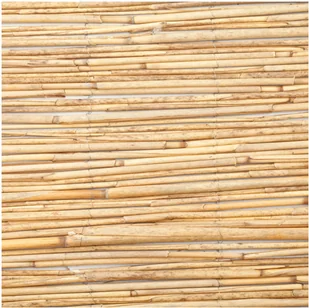 Mata trzcinowa na balkon 600 x 100 cm - Pozostałe ozdoby ogrodowe - miniaturka - grafika 2